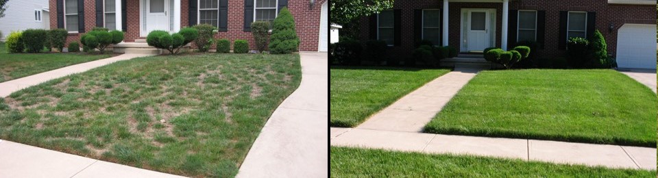 Professional yard maintenance results — York PA
